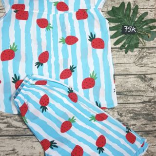 Bộ đồ tole lanh lửng cánh tiên