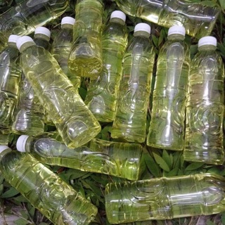 Bộ tinh dầu tràm nguyên chất (sỉ)