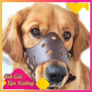 BỊT MỎ CHÓ