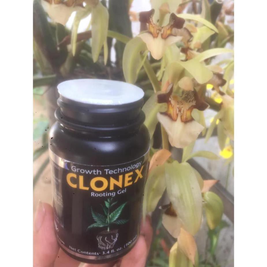 Gel Clonex hàng Mỹ chuyên dùng kích rễ trong ươm kei lan giâm, chiết cành 100ml (Growth Technology)