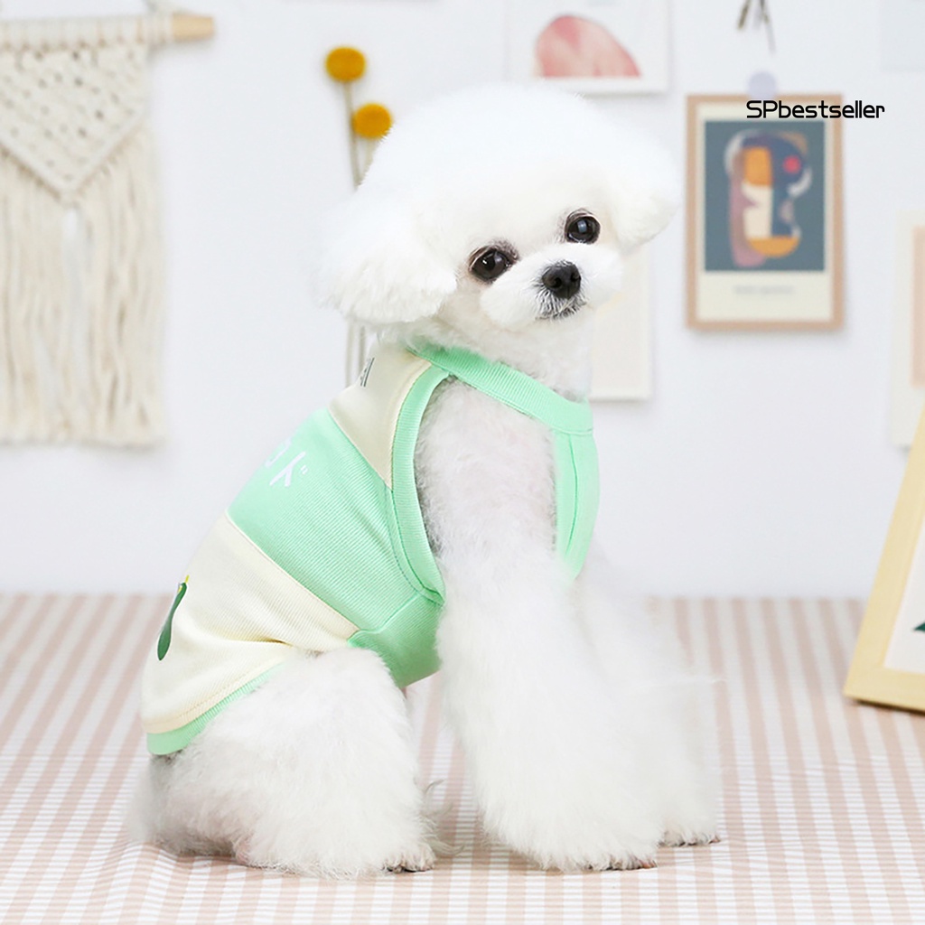 Áo thun cotton thoáng khí in họa tiết trái cây dễ thương thời trang mùa hè cho thú cưng