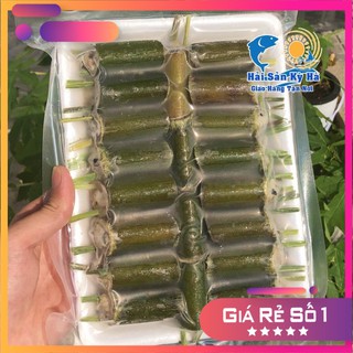 Giá Sỉ 1 Vĩ Ốc Nhồi Ống Nứa - Q12