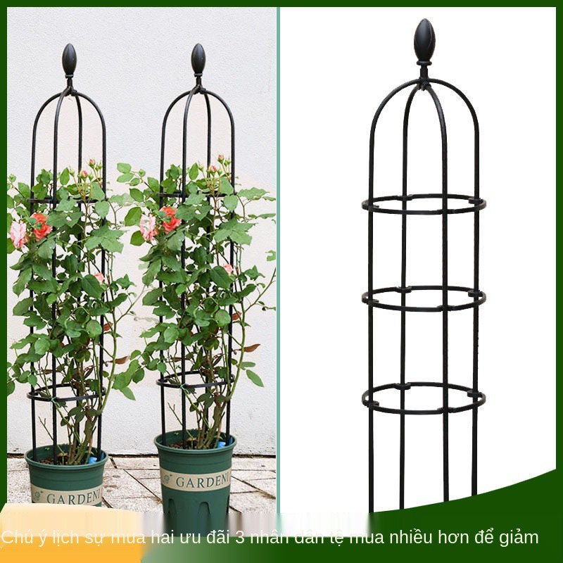 Kiểu dáng Châu Âu cây leo giàn hoa dây giá đỡ bằng sắt rèn nhựa bọc hồng clematis trang trí cột chống sàn ban côn