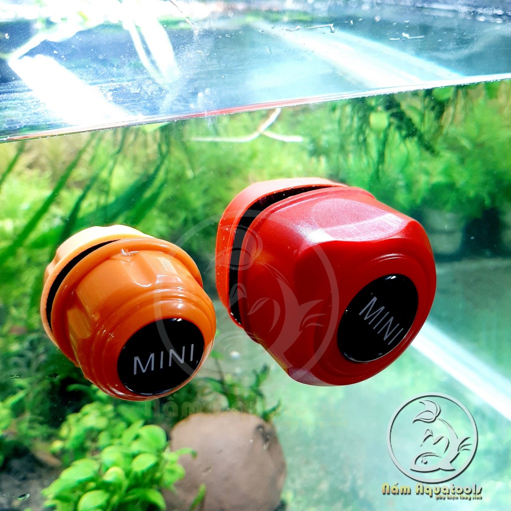 Nam Châm Cọ Bể Mini (nhiều size)