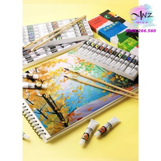 Bộ màu Acrylic  MARIES  12/18/24/36 dạng Tuyp (12ml, hộp giấy)