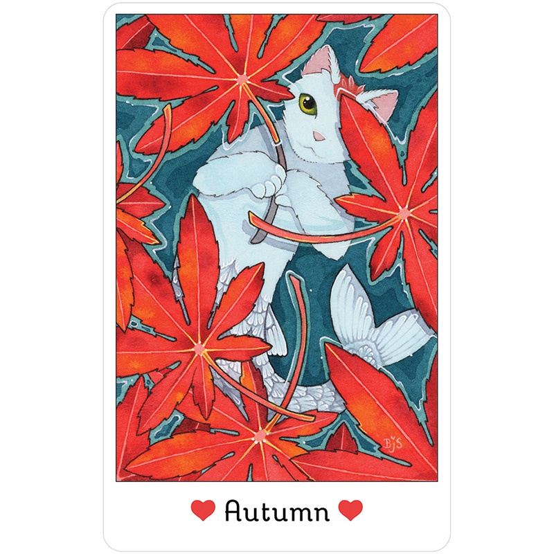 Bộ Bài Affirmations of the Fairy Cats Deck  - Bài Gốc Authentic Chính Hãng 100%
