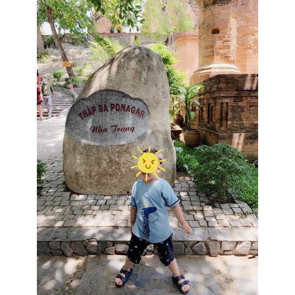 Quần sooc cotton MOPUSE31 ghi đậm