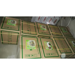 Thuốc tưới kích rễ Humat Cá