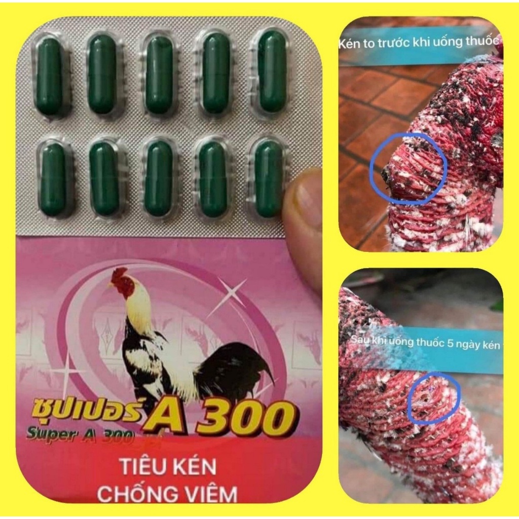 A 300 – THUỐC TIÊU KÉN, TIÊU SƯNG, TIÊU GOM KÉN NƯỚC CHO GÀ SAU ĐÁ.