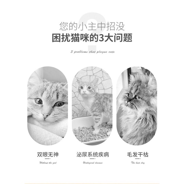 Soup thưởng cho mèo Masti dinh dưỡng súp thưởng cho mèo tăng cân NourseVietnam MT09