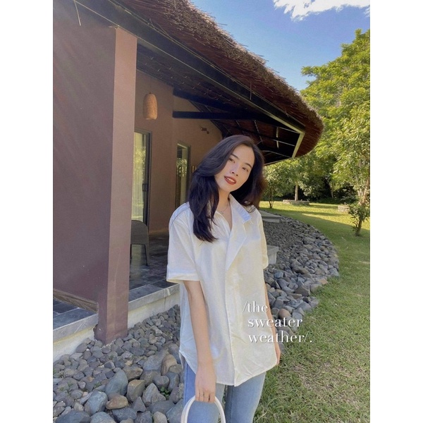 Áo sơ mi nữ ngắn tay vạt chéo thô trơn phong cách Hàn Quốc - The Sweater Weather | BigBuy360 - bigbuy360.vn