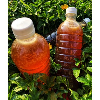 Mật Ong Hoa Cà Phê Nguyên Chất 100%