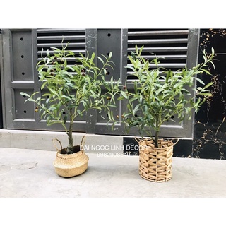 Cây giả - cây oliu giả 85cm