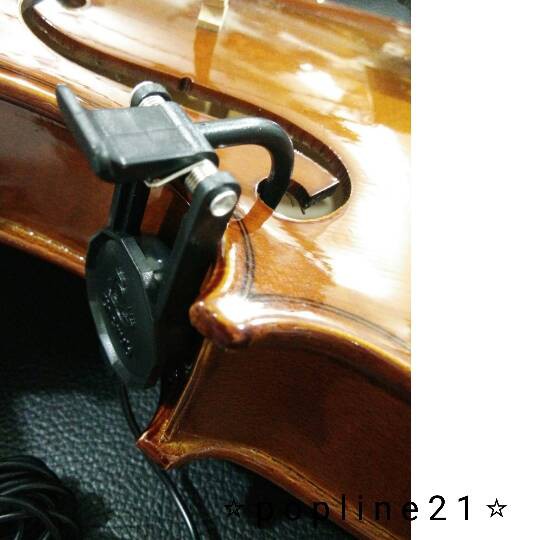 Pickup Cherub Wcp-60V / Violin Spool Cherub