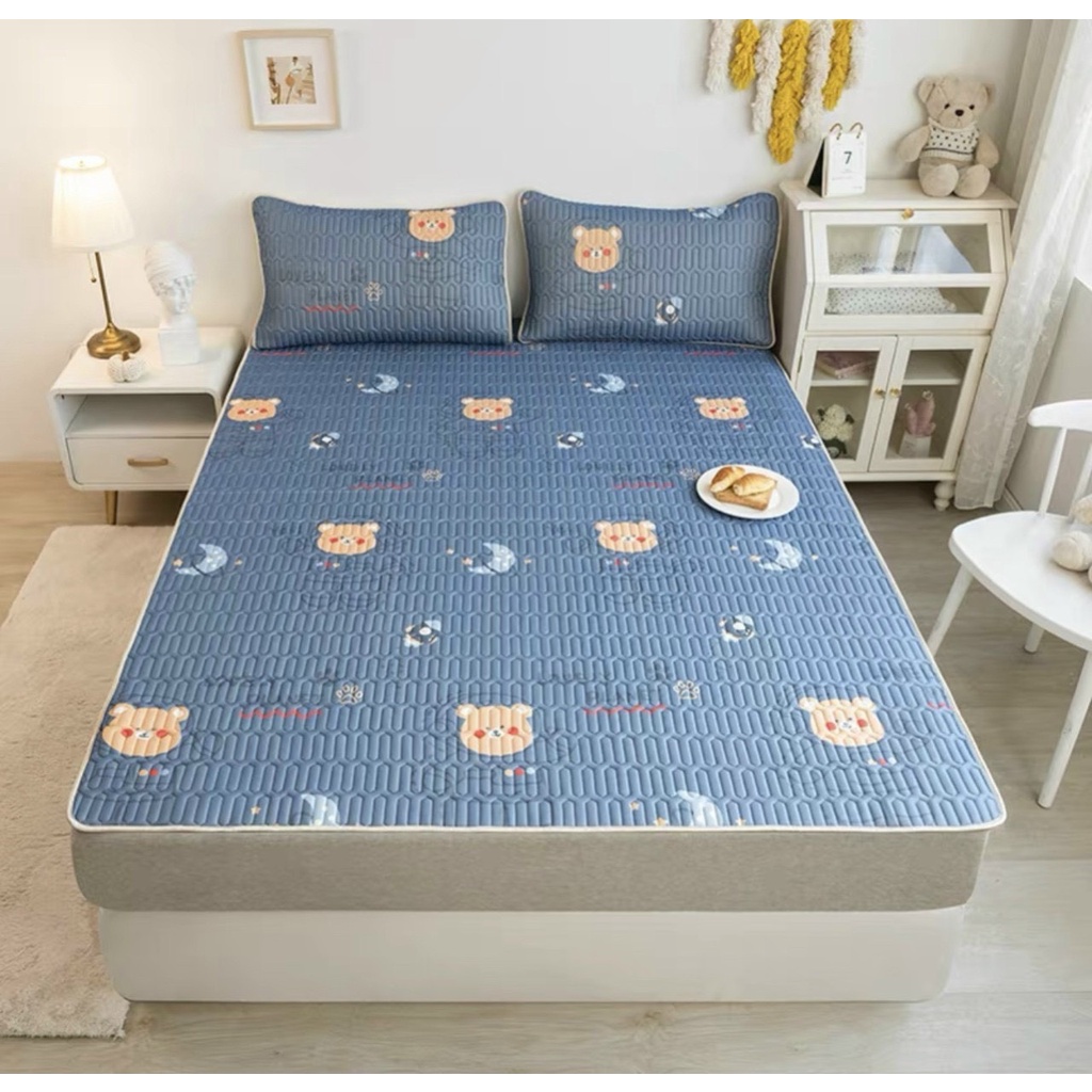 Chiếu điều hòa cao su non tencel 2D nhập khẩu, Chất liệu tencel và mủ cao su thoáng mát tặng kèm 2 vỏ gối đủ size nệm