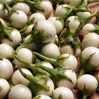 Hạt Giống Cà Pháo Trắng