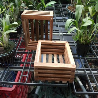 chậu gỗ trồng lan vuông 25cm