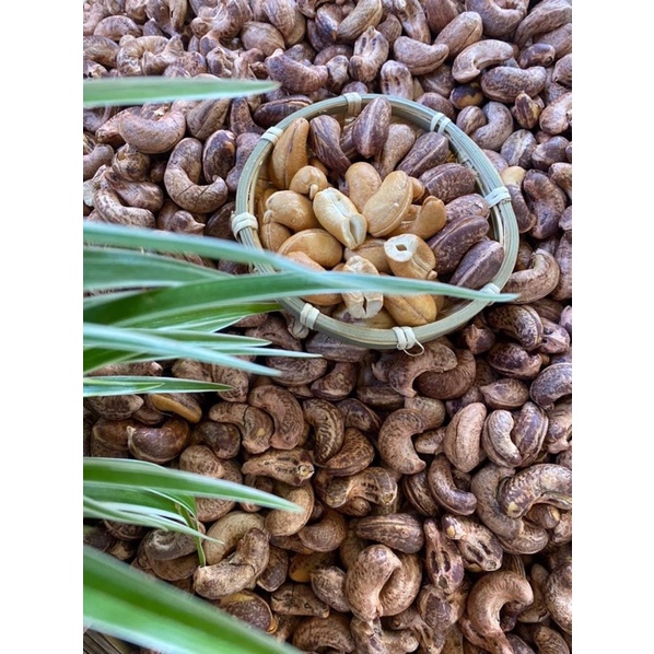Hạt điều Trần Anh Food - Hạt điều bình phước rang muối còn vỏ lụa to thơm ngon ròn rụm hũ 500gram