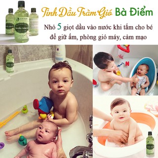 Tinh Dầu Tràm Gió Bà Điểm 10ml
