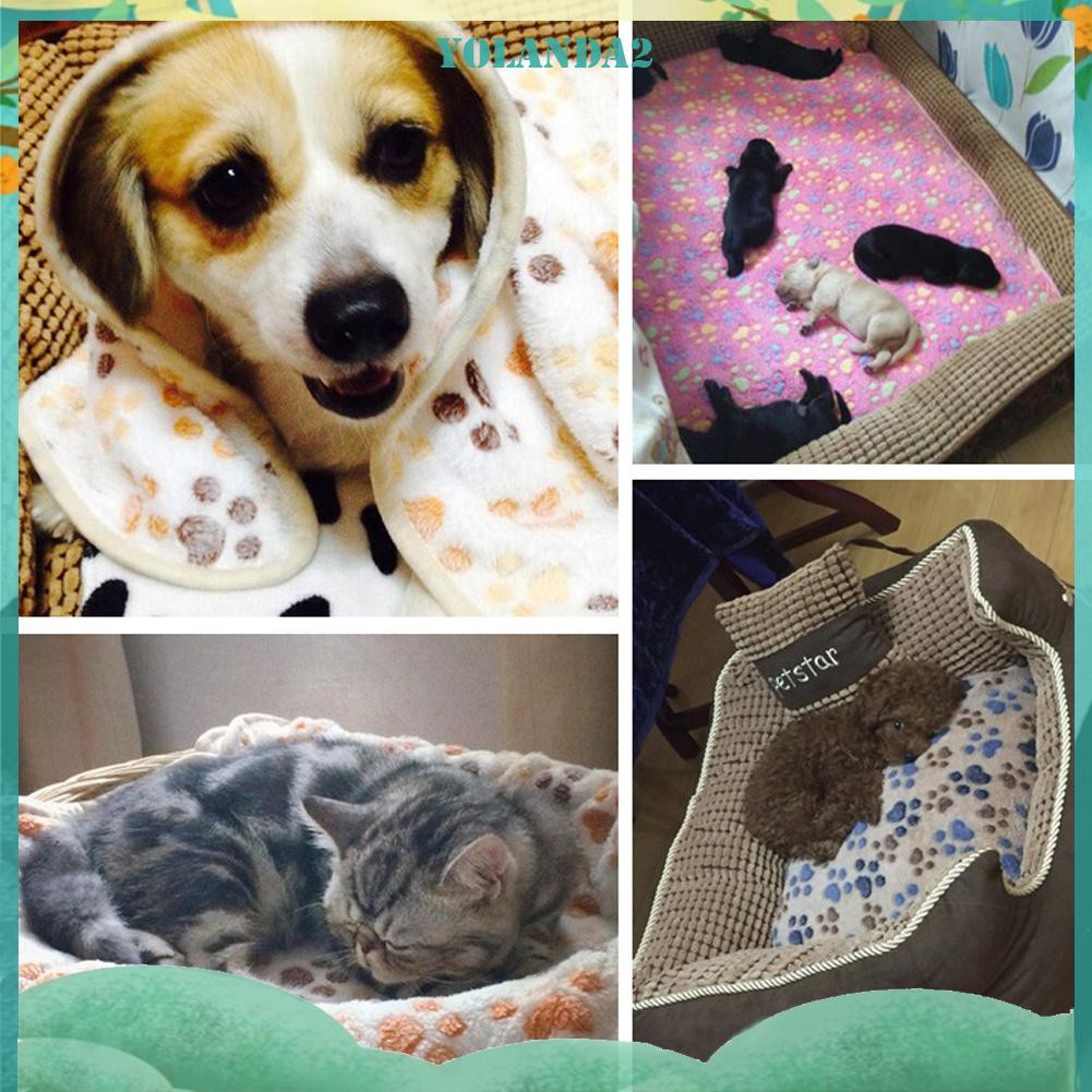 Chăn Mềm Mại, Ấm Áp Cho Thú Cưng
