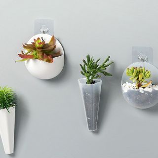 Chậu trồng cây treo tường mini