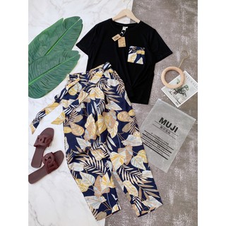 Bộ cây dừa