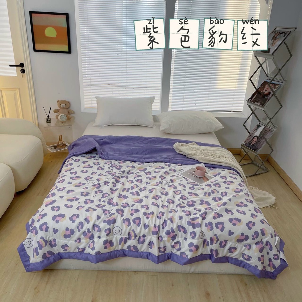 Chăn đũi hè mát kèm túi đựng cao cấp 2mx2m2  chuyên sỉ chăn ga gối