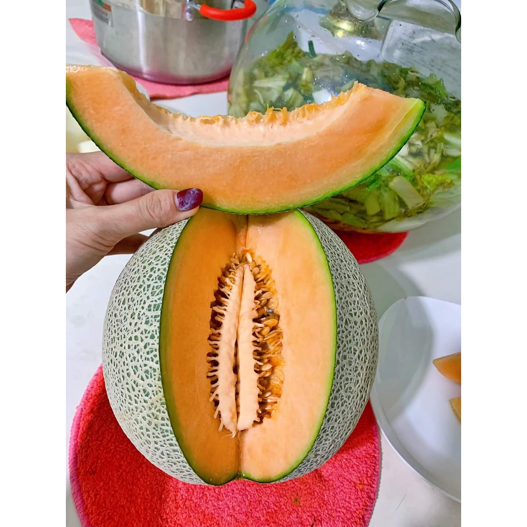 Dưa lưới ruột cam Honey Red F1
