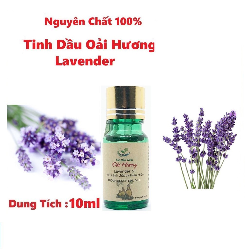 Tinh Dầu Oải Hương Oraganic Tinh Dầu Xanh Thiên Nhiên Nguyên Chất Dùng Xông Phòng,Khử Mùi Dung Tích 10ML