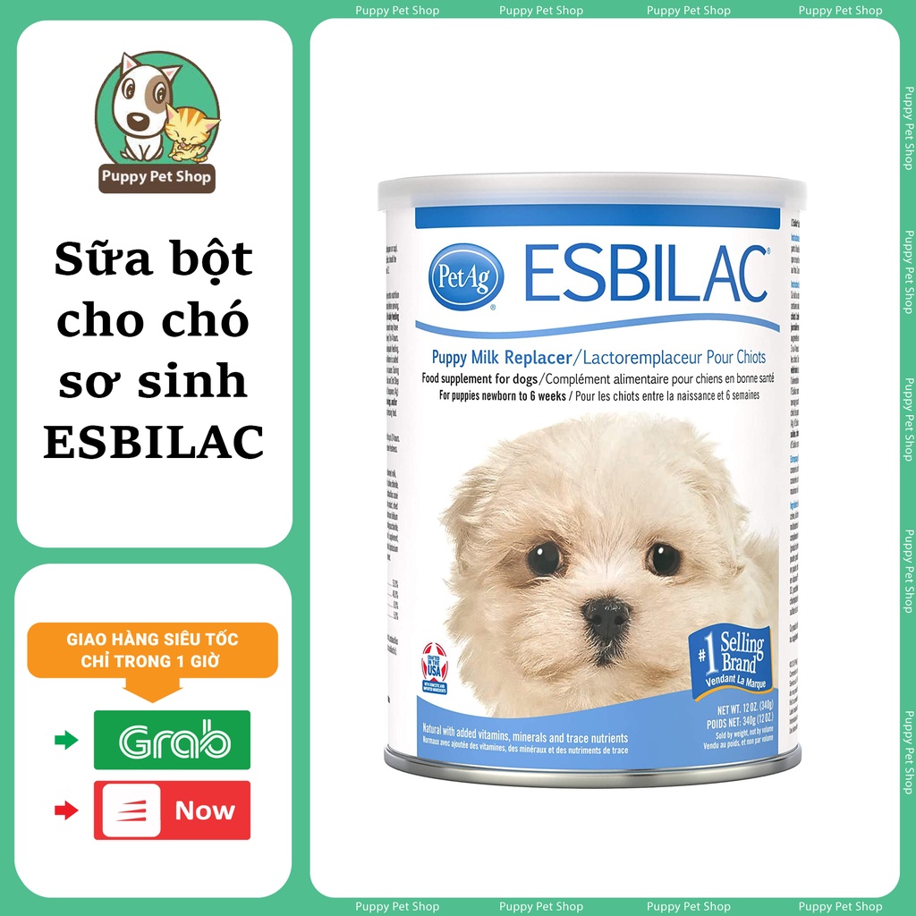Sữa Bột Cao Cấp Esbilac 340g Dành Cho Chó Sơ Sinh Chó Con