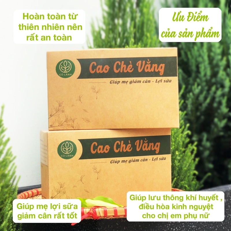 Cao chè vàng Cỏ Lành 500G - Lợi sữa, thanh nhiệt ,giải độc ngăn mụn nhọt