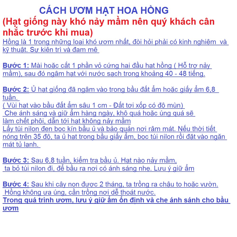 Hạt giống hoa hồng bảy màu gói 10 hạt xuất xứ Nhật Bản