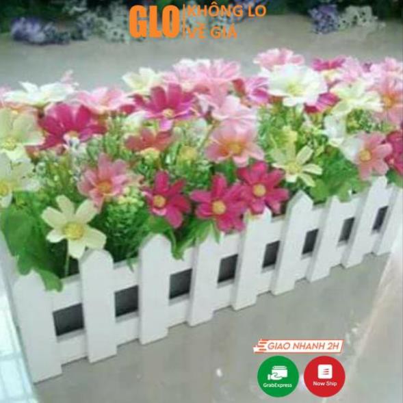 Hàng rào hoa cúc nhí giả 30x10cm GloMart
