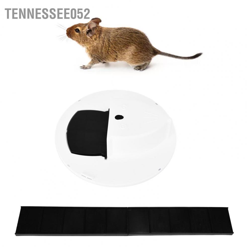 Bẫy Chuột Thông Minh Bằng Nhựa 5 Gallon Có Thể Tái Sử Dụng