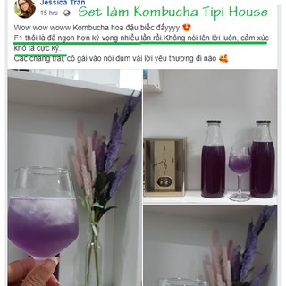 Scoby - nấm thủy sâm, làm dấm trà Kombucha
