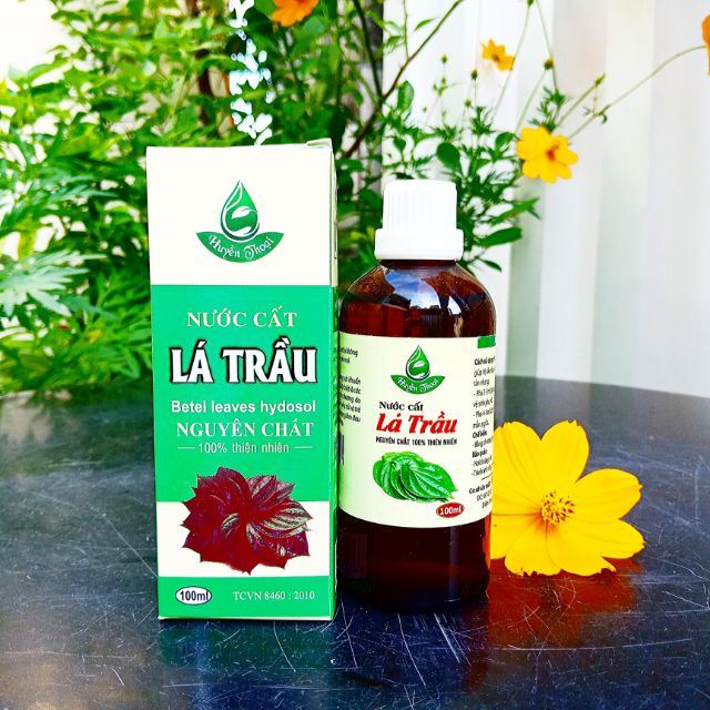 NƯỚC CẤT LÁ TRẦU NGUYÊN CHẤT