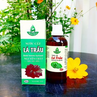 Nước cất lá trầu nguyên chất