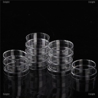 Set 10 Đĩa Nhựa Polystyrene 35X15Mm Có Nắp Đậy Tiện Dụng