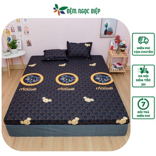 Bộ ga trải giường và vỏ gối nằm kích thước 2m2 2m chất liệu poly cotton mẫu mới