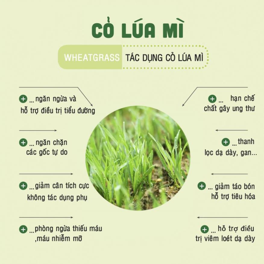 (Bán sỉ) Túi bột lúa mì sấy lạnh nguyên chất Dalahouse 50g - Detox hoàn toàn tự nhiên - NPP HS Shop Thủ Đức