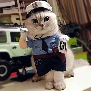 Đồ Mặc Cho Mèo Hình Dễ Thương