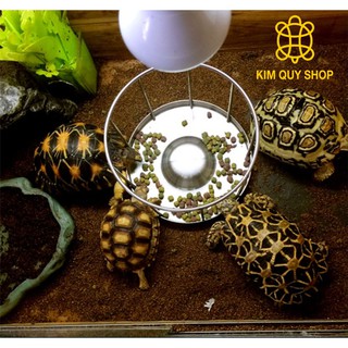 Máng ăn inox cao cấp dành cho bò sát
