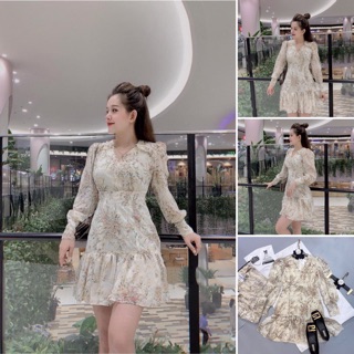 V463 Đầm Hoa Voan 2 Lớp Thêu Tay Dài Cực Đẹp, Váy Đuôi Cá Dự Tiệc Sang Trọng