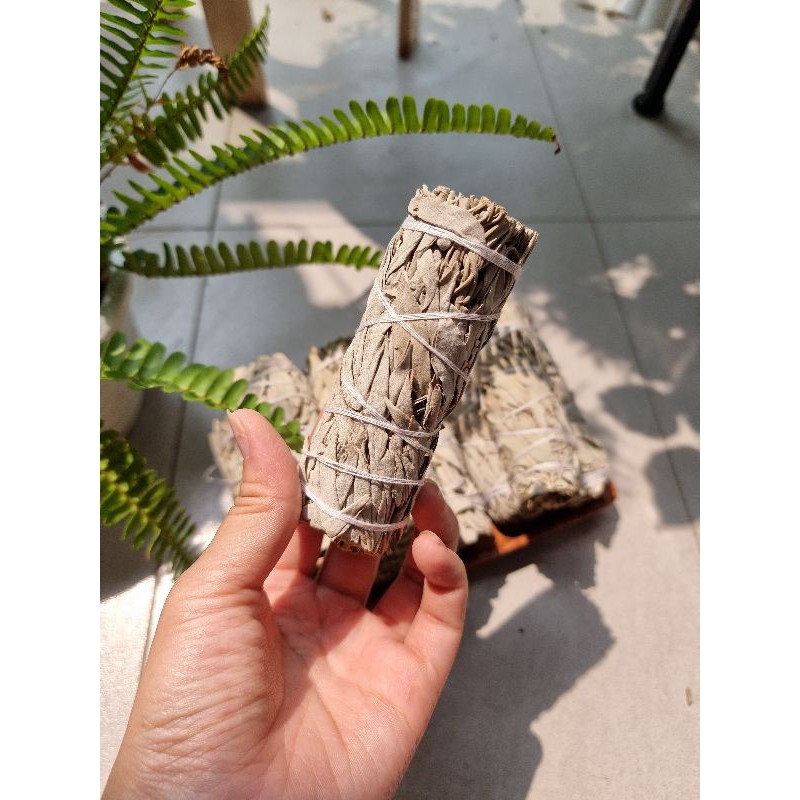 Xô thơm ( white sage) thanh tẩy không gian, bài tarot | BigBuy360 - bigbuy360.vn