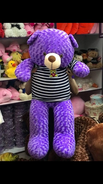 Gấu bông Teddy khổ vải 1m6 (Size thật 1m4)