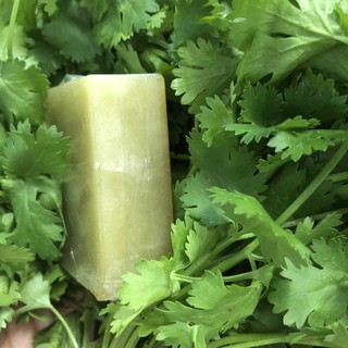 Xà bông MÙI GIÀ - MÙI TẾT SINH DƯỢC