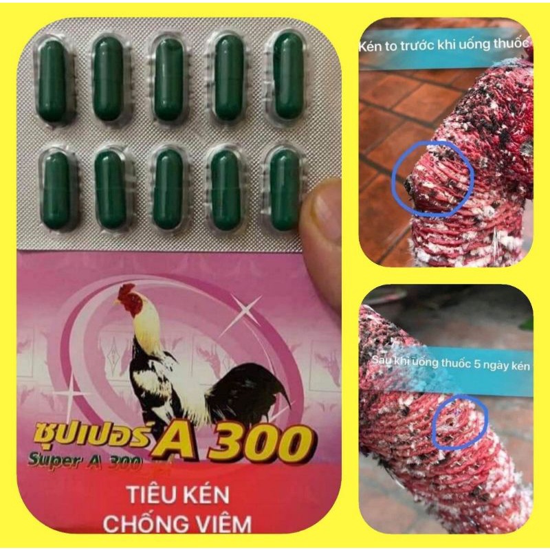 Tiêu kén, tiêu sưng A300 cho gà đá. 1 vỉ 10 viên