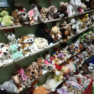 Gấu bông con vật