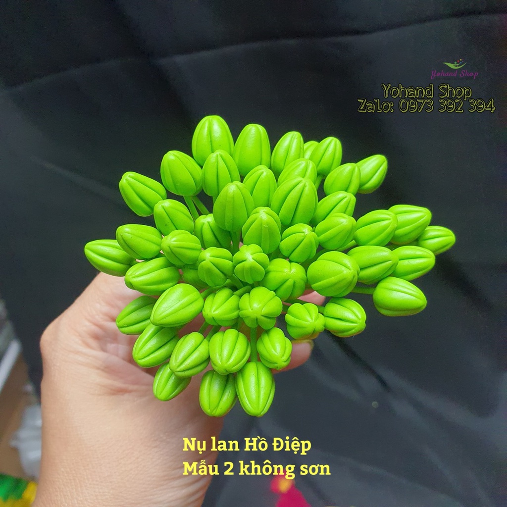 Nhụy/ nhị lan và Nụ lan Hồ Điệp làm hoa vải voan ( bó 25 cái)