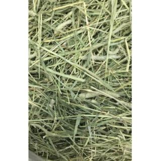 Cỏ Timothy 500gr cho thỏ và bọ ú